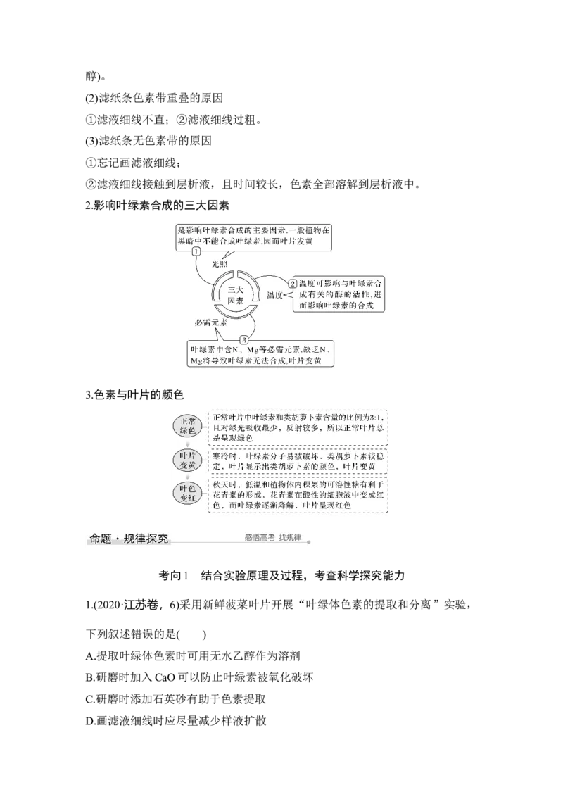 第9讲能量之源&mdash;&mdash;光与光合作用_通用版（老高考）复习资料_2023年复习资料_一轮复习_2023年高考生物一轮复习讲义+课件（全国版）_2023年高考生物一轮复习讲义（全国版）_赠补充习题