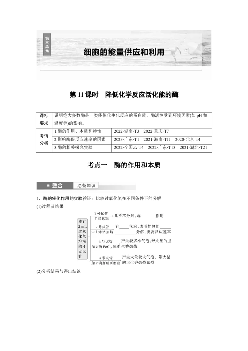 第三单元　第11课时　降低化学反应活化能的酶_2025年新高考资料_一轮复习_2025大一轮复习讲义+课件（完结）_2025大一轮复习讲义生物学生用书Word版文档整书_2025大一轮复习讲义