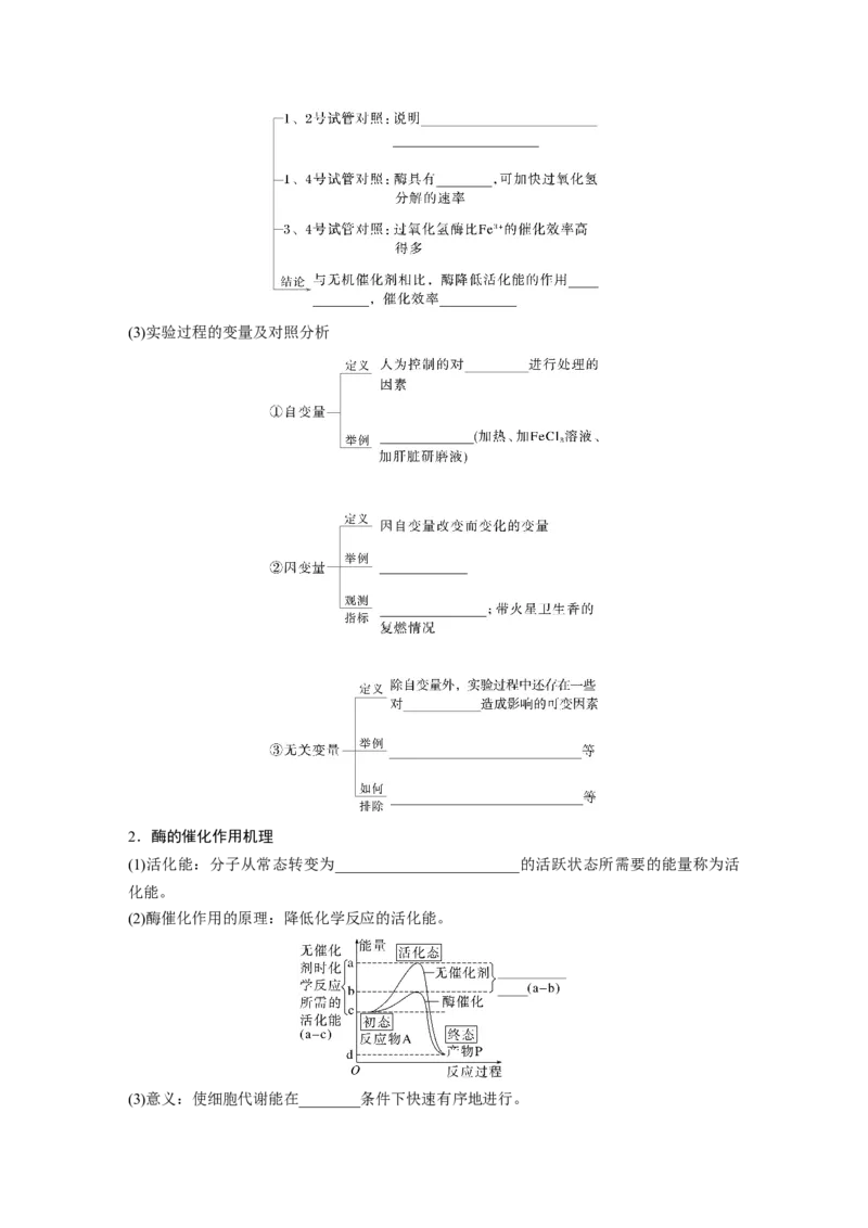 第三单元　第11课时　降低化学反应活化能的酶_2025年新高考资料_一轮复习_2025大一轮复习讲义+课件（完结）_2025大一轮复习讲义生物学生用书Word版文档整书_2025大一轮复习讲义