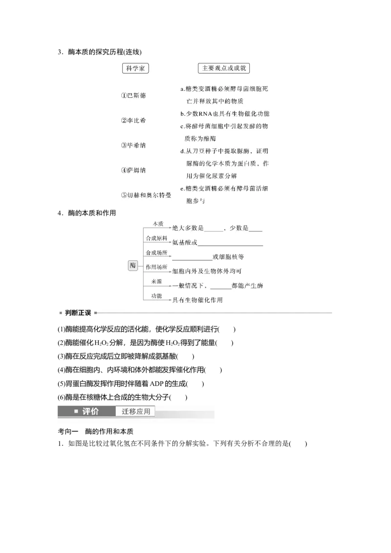 第三单元　第11课时　降低化学反应活化能的酶_2025年新高考资料_一轮复习_2025大一轮复习讲义+课件（完结）_2025大一轮复习讲义生物学生用书Word版文档整书_2025大一轮复习讲义