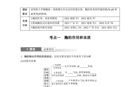 第三单元　第11课时　降低化学反应活化能的酶_2025年新高考资料_一轮复习_2025大一轮复习讲义+课件（完结）_2025大一轮复习讲义生物学生用书Word版文档整书_2025大一轮复习讲义