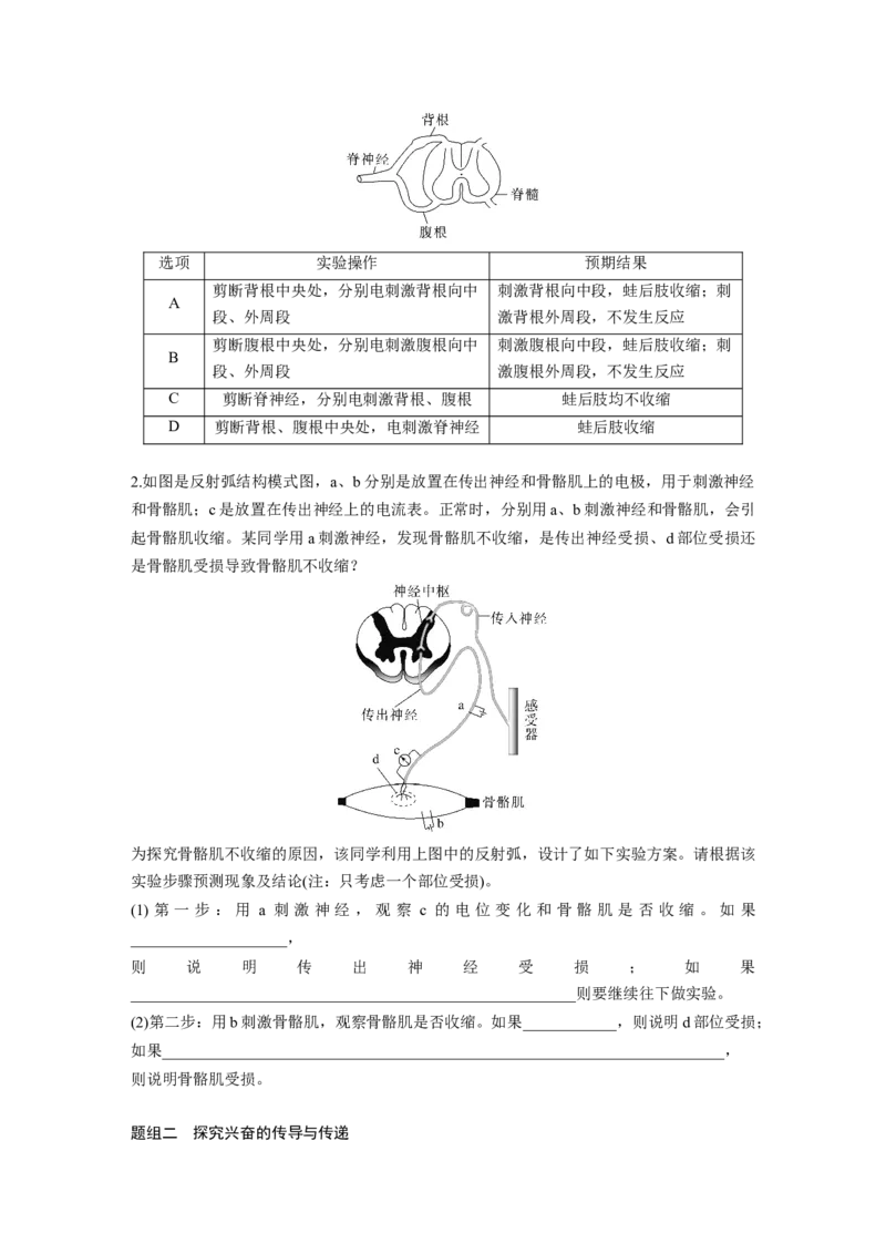 第一篇专题六考点二　动物个体生命调节实验探究与分析_通用版（老高考）复习资料_2023年复习资料_二轮复习_2023年高考生物二轮复习讲义+课件（全国版）_学生版_大二轮专题复习讲义