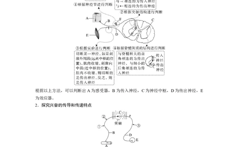 第一篇专题六考点二　动物个体生命调节实验探究与分析_通用版（老高考）复习资料_2023年复习资料_二轮复习_2023年高考生物二轮复习讲义+课件（全国版）_学生版_大二轮专题复习讲义