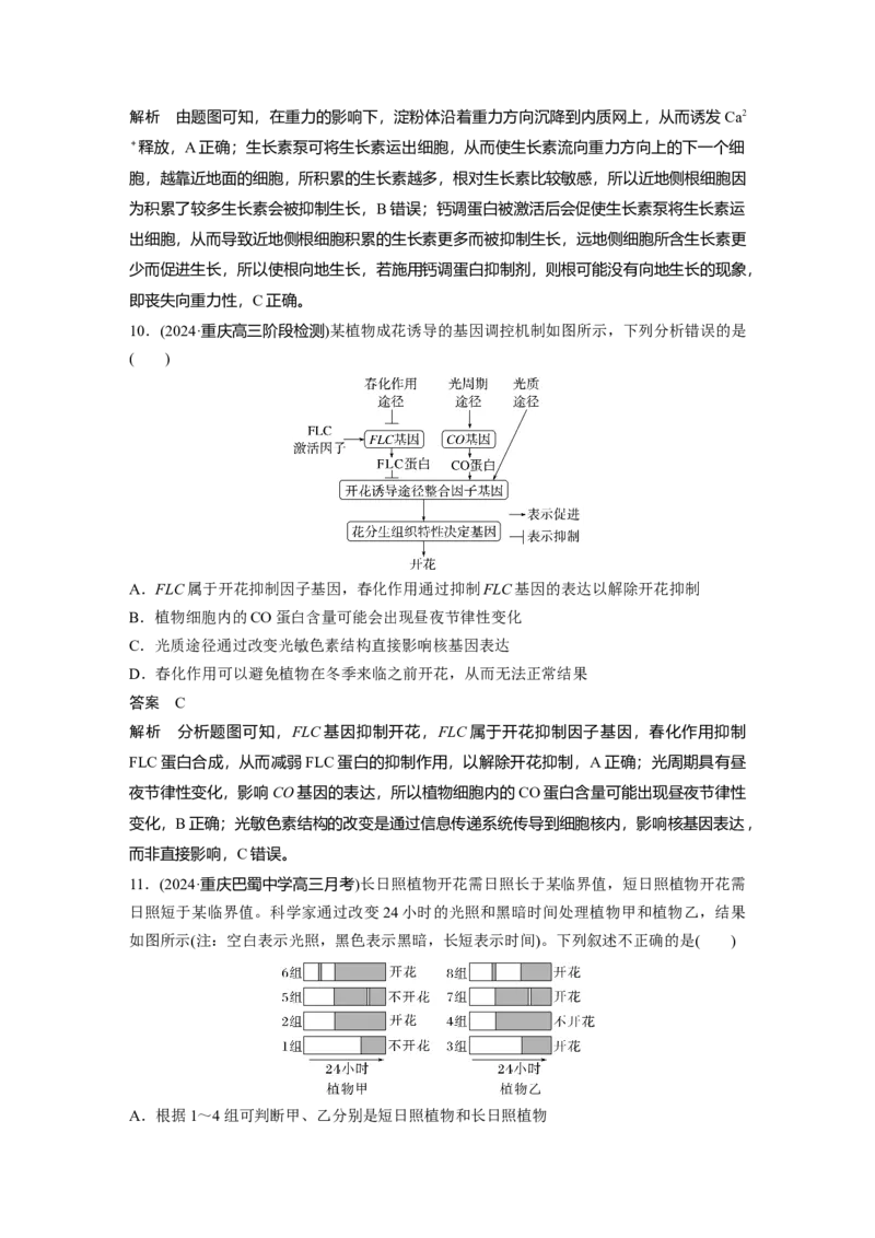 第八单元　第46课时　植物生长调节剂的应用及环境因素参与调节植物的生命活动_2025年新高考资料_一轮复习_2025大一轮复习讲义+课件（完结）_配套Word版文档第七~十单元