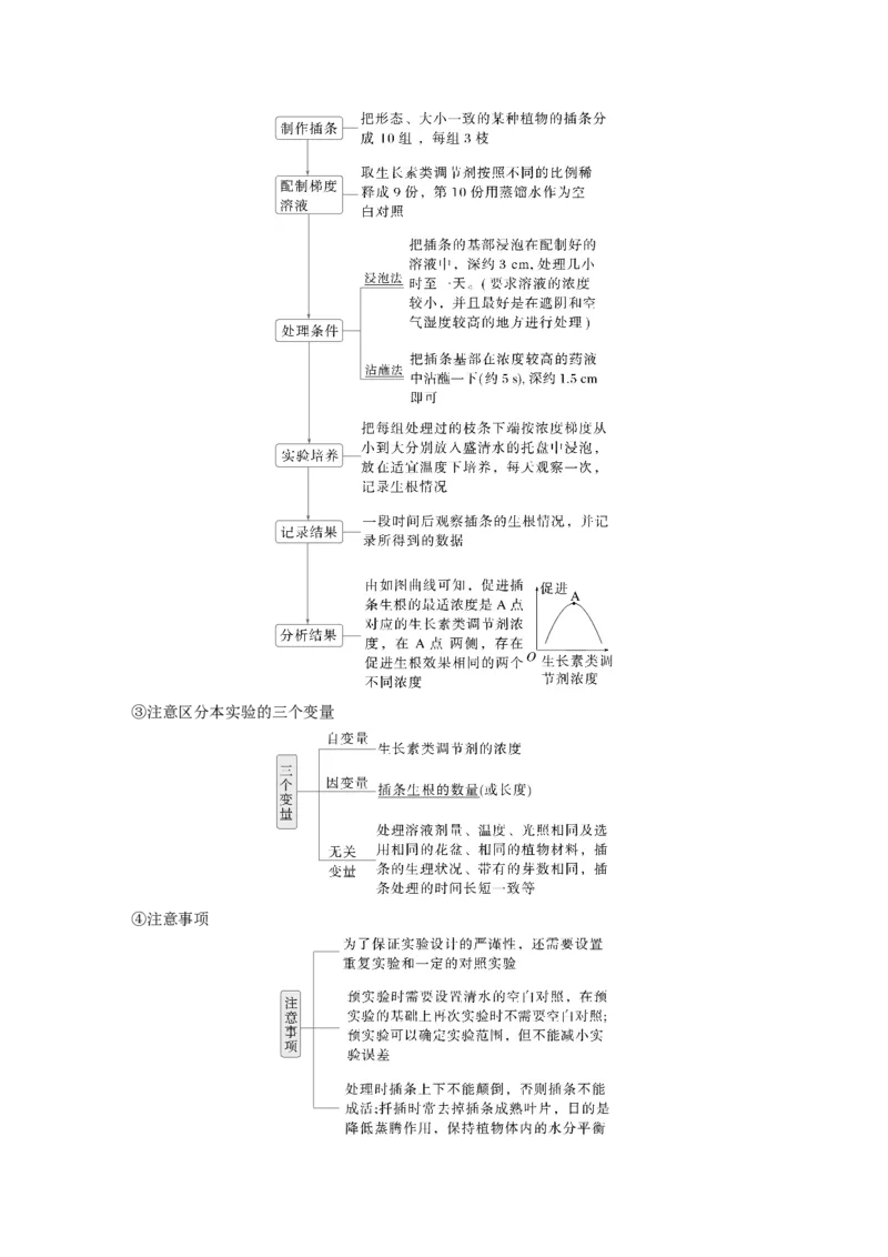 第八单元　第46课时　植物生长调节剂的应用及环境因素参与调节植物的生命活动_2025年新高考资料_一轮复习_2025大一轮复习讲义+课件（完结）_配套Word版文档第七~十单元