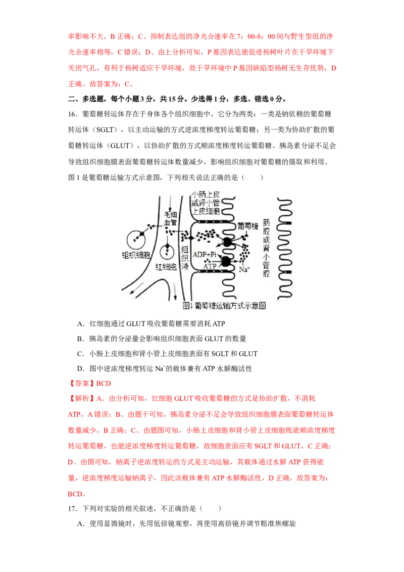 第二单元光合作用和细胞呼吸综合（B卷能力提升练）-2022年高考生物一轮复习单元滚动双测卷（解析版）_新高考复习资料_2023年新高考复习资料_一轮复习