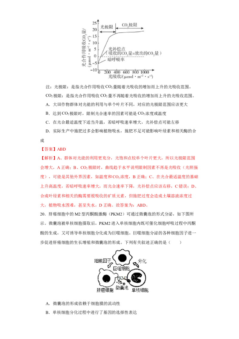 第二单元光合作用和细胞呼吸综合（B卷能力提升练）-2022年高考生物一轮复习单元滚动双测卷（解析版）_新高考复习资料_2023年新高考复习资料_一轮复习