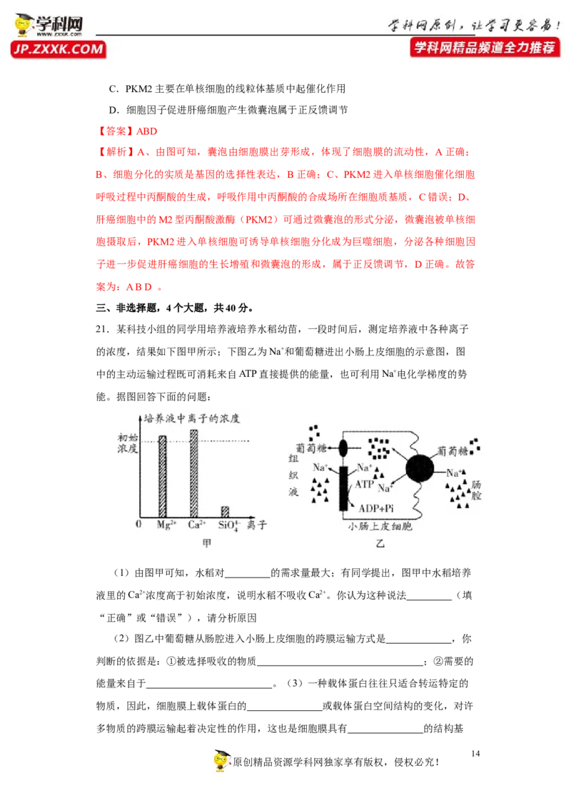 第二单元光合作用和细胞呼吸综合（B卷能力提升练）-2022年高考生物一轮复习单元滚动双测卷（解析版）_新高考复习资料_2023年新高考复习资料_一轮复习
