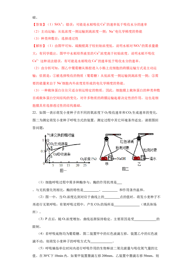 第二单元光合作用和细胞呼吸综合（B卷能力提升练）-2022年高考生物一轮复习单元滚动双测卷（解析版）_新高考复习资料_2023年新高考复习资料_一轮复习