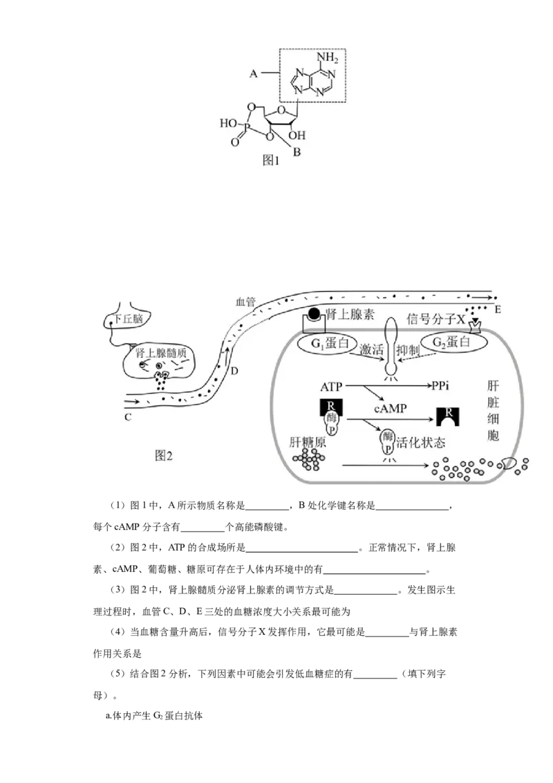 第二单元光合作用和细胞呼吸综合（B卷能力提升练）-2022年高考生物一轮复习单元滚动双测卷（解析版）_新高考复习资料_2023年新高考复习资料_一轮复习
