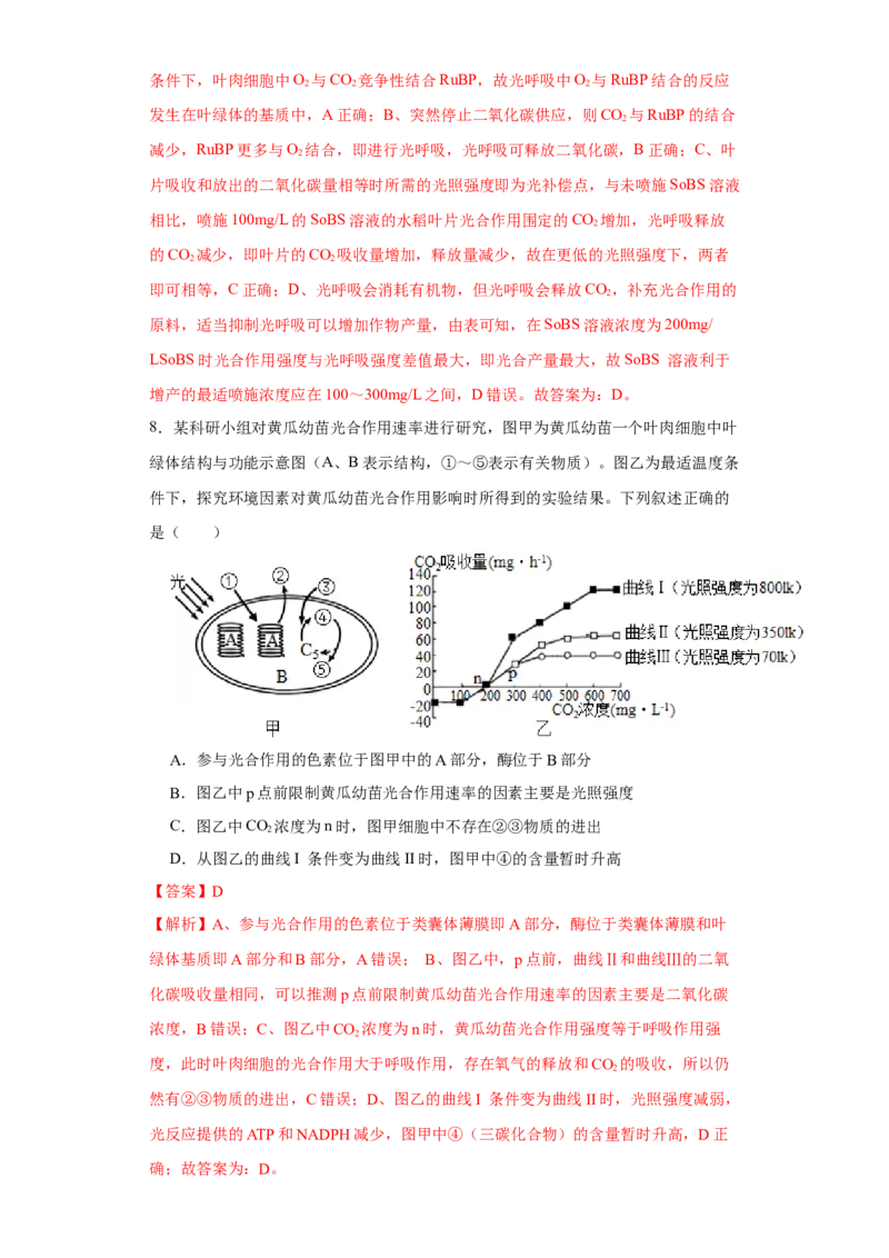 第二单元光合作用和细胞呼吸综合（B卷能力提升练）-2022年高考生物一轮复习单元滚动双测卷（解析版）_新高考复习资料_2023年新高考复习资料_一轮复习