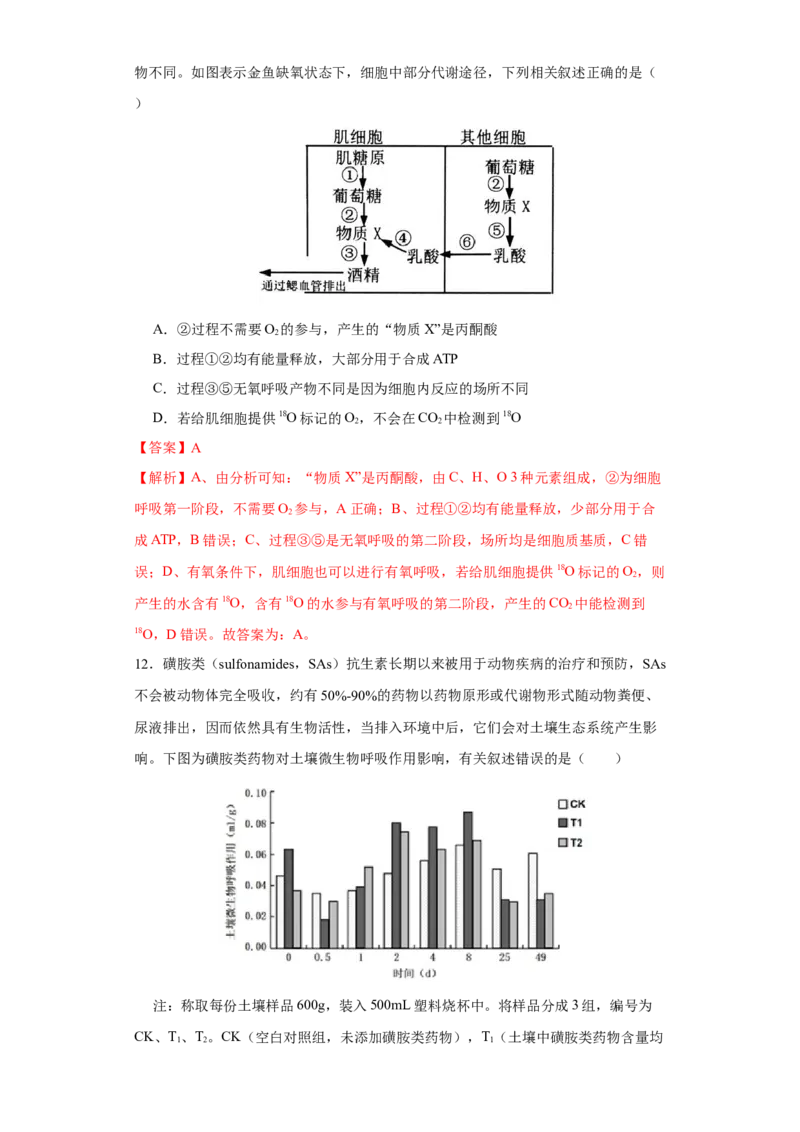 第二单元光合作用和细胞呼吸综合（B卷能力提升练）-2022年高考生物一轮复习单元滚动双测卷（解析版）_新高考复习资料_2023年新高考复习资料_一轮复习