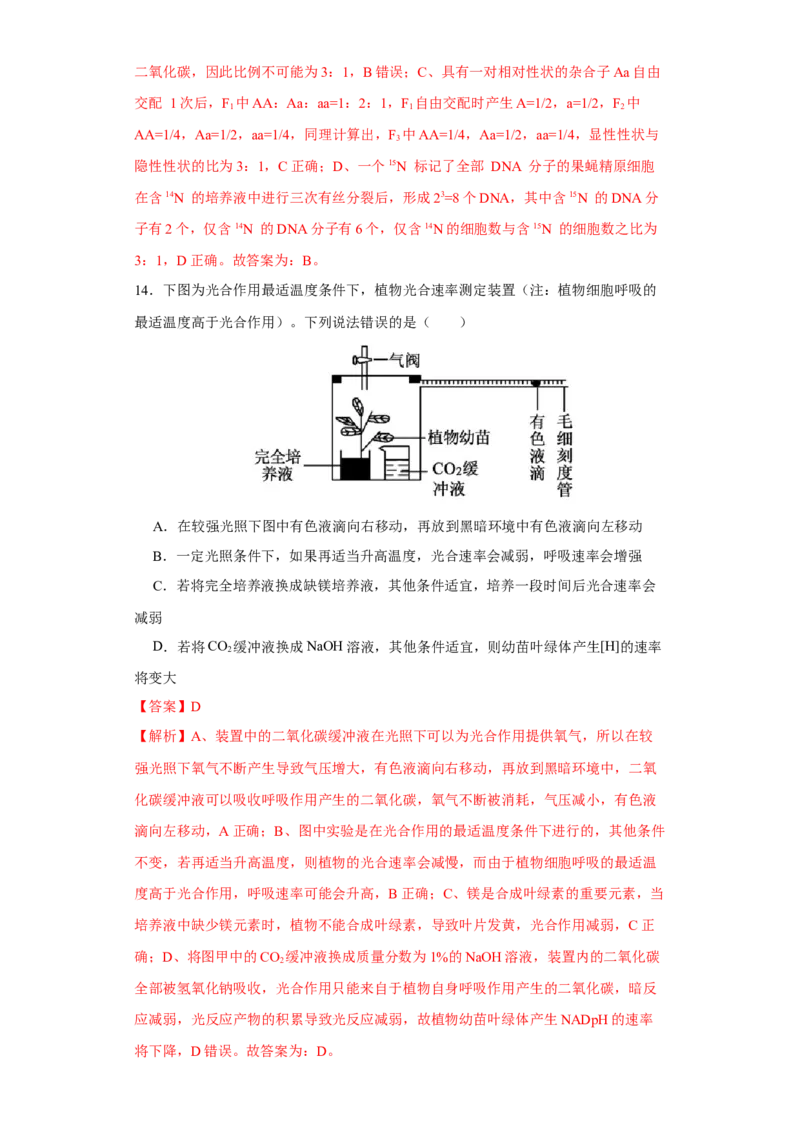 第二单元光合作用和细胞呼吸综合（B卷能力提升练）-2022年高考生物一轮复习单元滚动双测卷（解析版）_新高考复习资料_2023年新高考复习资料_一轮复习