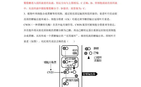 第二单元光合作用和细胞呼吸综合（B卷能力提升练）-2022年高考生物一轮复习单元滚动双测卷（解析版）_新高考复习资料_2023年新高考复习资料_一轮复习