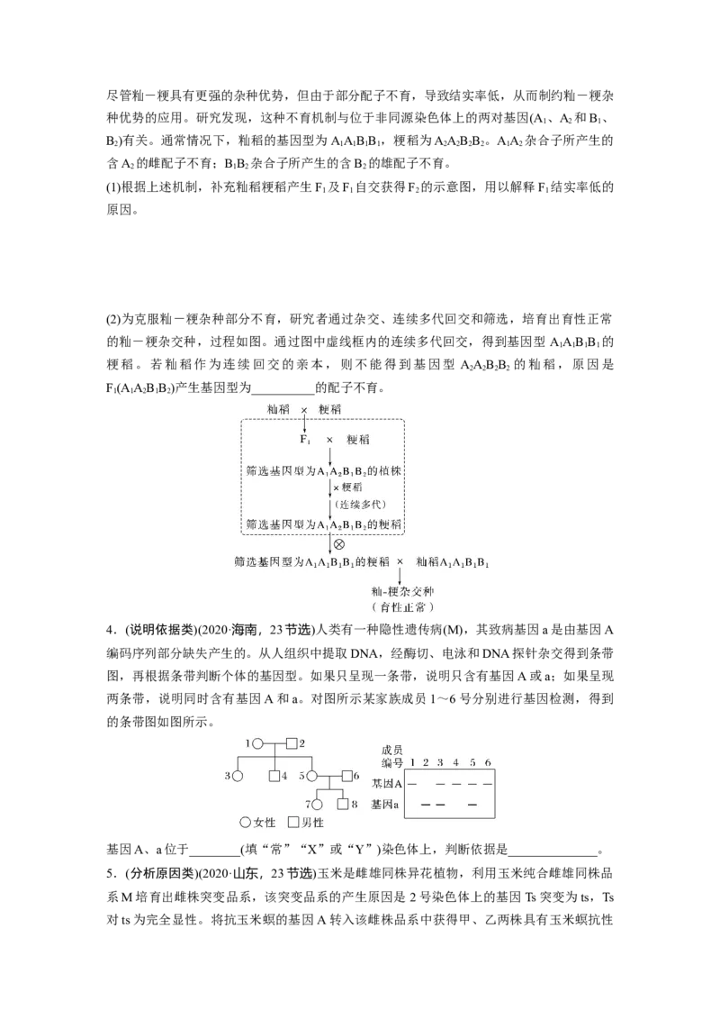 第一篇专题四语言表达(三)　遗传实验中相关推理分析_通用版（老高考）复习资料_2023年复习资料_二轮复习_2023年高考生物二轮复习讲义+课件（全国版）_学生版_大二轮专题复习讲义