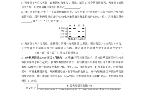 第一篇专题四语言表达(三)　遗传实验中相关推理分析_通用版（老高考）复习资料_2023年复习资料_二轮复习_2023年高考生物二轮复习讲义+课件（全国版）_学生版_大二轮专题复习讲义