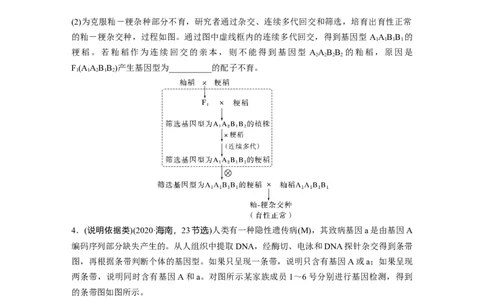 第一篇专题四语言表达(三)　遗传实验中相关推理分析_通用版（老高考）复习资料_2023年复习资料_二轮复习_2023年高考生物二轮复习讲义+课件（全国版）_学生版_大二轮专题复习讲义
