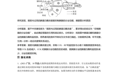 第一篇专题六语言表达(五)　个体稳态中相关过程变化机理分析_通用版（老高考）复习资料_2023年复习资料_二轮复习_2023年高考生物二轮复习讲义+课件（全国版）_学生版_第一篇专题突破