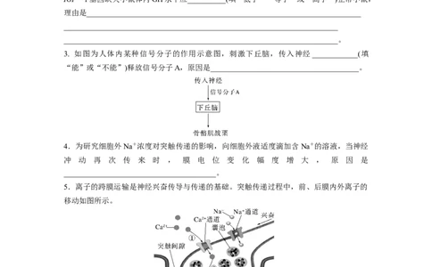 第一篇专题六语言表达(五)　个体稳态中相关过程变化机理分析_通用版（老高考）复习资料_2023年复习资料_二轮复习_2023年高考生物二轮复习讲义+课件（全国版）_学生版_第一篇专题突破