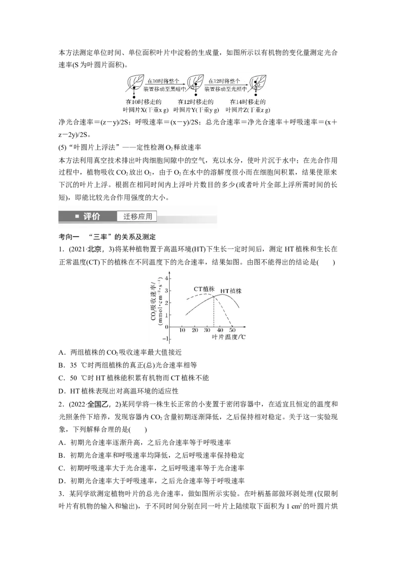 第三单元　第18课时　光合速率和呼吸速率的综合分析_2025年新高考资料_一轮复习_2025大一轮复习讲义+课件（完结）_2025大一轮复习讲义生物学生用书Word版文档整书_2025大一轮复习讲义