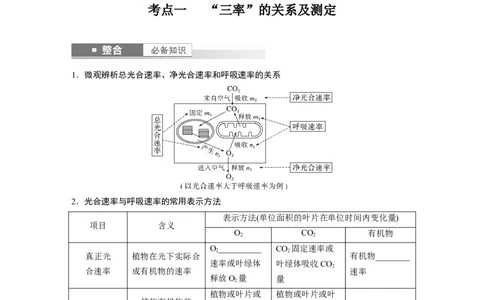 第三单元　第18课时　光合速率和呼吸速率的综合分析_2025年新高考资料_一轮复习_2025大一轮复习讲义+课件（完结）_2025大一轮复习讲义生物学生用书Word版文档整书_2025大一轮复习讲义