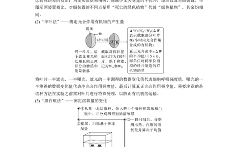 第三单元　第18课时　光合速率和呼吸速率的综合分析_2025年新高考资料_一轮复习_2025大一轮复习讲义+课件（完结）_2025大一轮复习讲义生物学生用书Word版文档整书_2025大一轮复习讲义