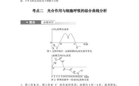 第三单元　第18课时　光合速率和呼吸速率的综合分析_2025年新高考资料_一轮复习_2025大一轮复习讲义+课件（完结）_2025大一轮复习讲义生物学生用书Word版文档整书_2025大一轮复习讲义
