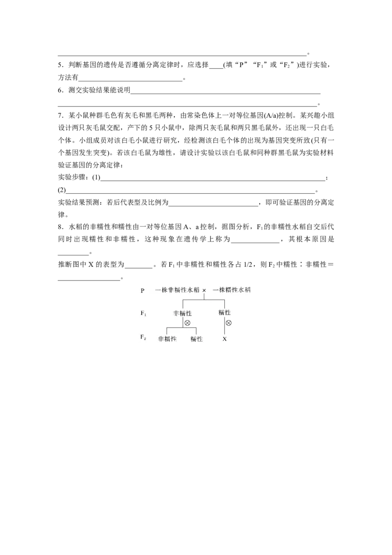 第五单元　第24课时　一对相对性状的杂交实验_新高考复习资料_2025年新高考资料_2025新高考一轮复习生物_2025大一轮复习讲义生物人教版学生用书Word版文档整书_2025大一轮复习讲义