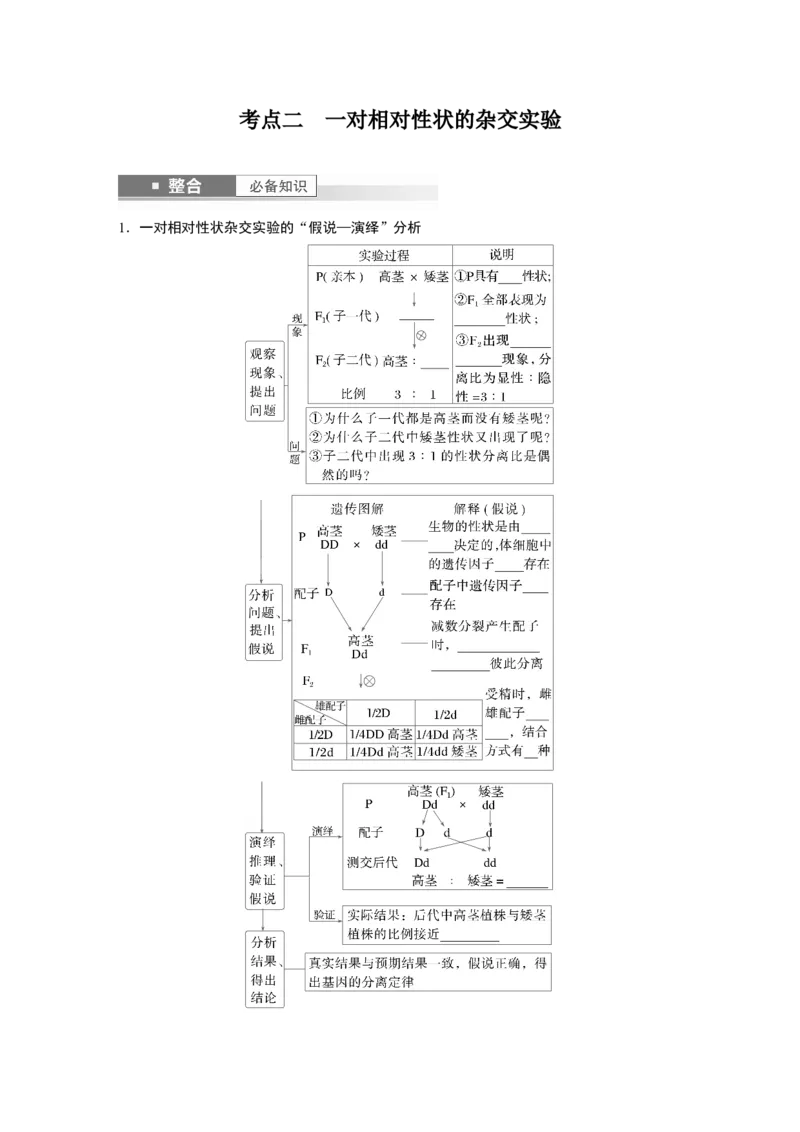 第五单元　第24课时　一对相对性状的杂交实验_新高考复习资料_2025年新高考资料_2025新高考一轮复习生物_2025大一轮复习讲义生物人教版学生用书Word版文档整书_2025大一轮复习讲义