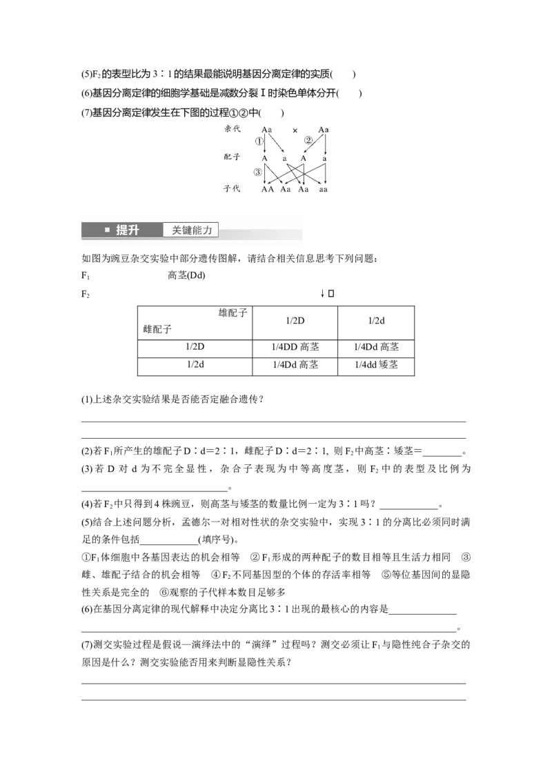 第五单元　第24课时　一对相对性状的杂交实验_新高考复习资料_2025年新高考资料_2025新高考一轮复习生物_2025大一轮复习讲义生物人教版学生用书Word版文档整书_2025大一轮复习讲义