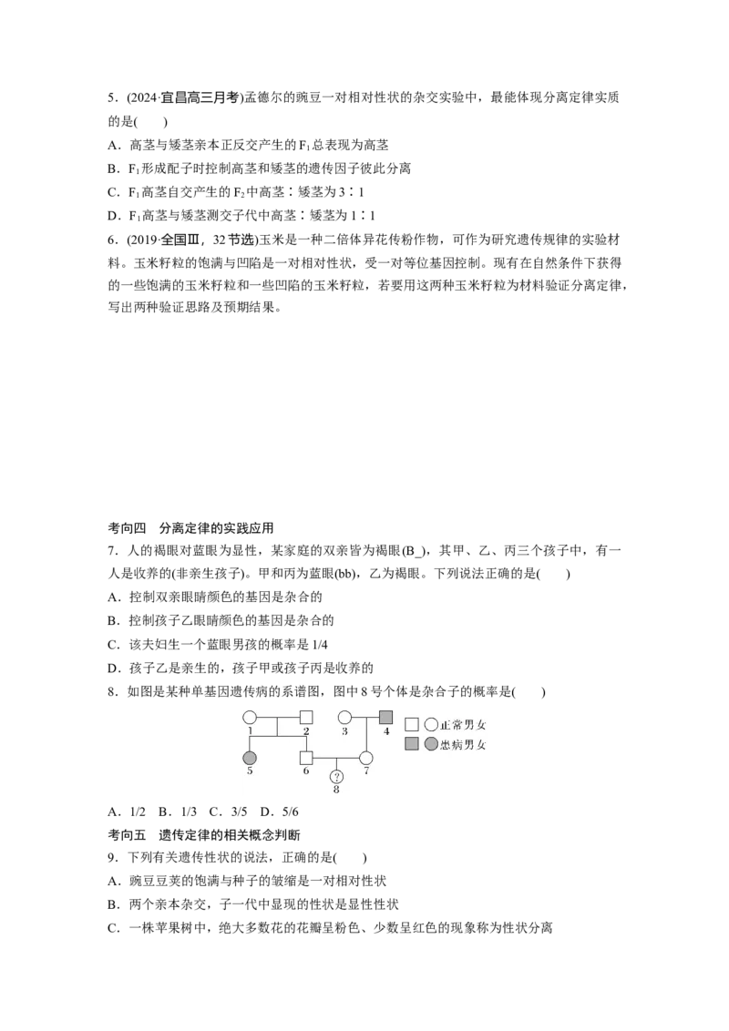 第五单元　第24课时　一对相对性状的杂交实验_新高考复习资料_2025年新高考资料_2025新高考一轮复习生物_2025大一轮复习讲义生物人教版学生用书Word版文档整书_2025大一轮复习讲义