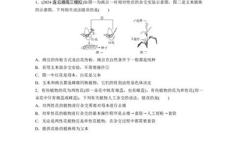 第五单元　第24课时　一对相对性状的杂交实验_新高考复习资料_2025年新高考资料_2025新高考一轮复习生物_2025大一轮复习讲义生物人教版学生用书Word版文档整书_2025大一轮复习讲义