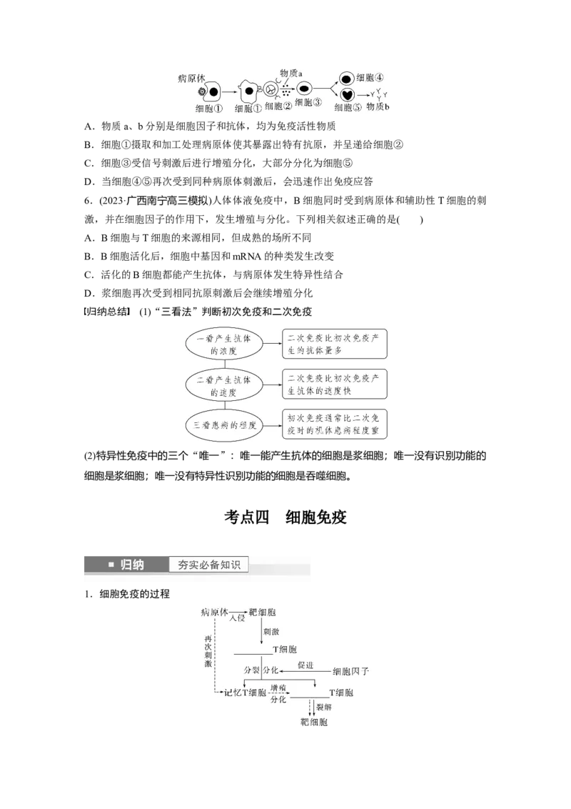 第8单元　第7课时　免疫系统和特异性免疫_新高考复习资料_2024年新高考复习资料_一轮复习资料_完2024生物步步高大一轮复习（课件+讲义）_2024年高考生物一轮复习讲义（新人教版）
