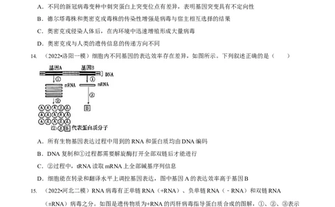 第6讲遗传的分子基础（检测）-2023年高考生物二轮复习讲练测（新教材专用）（原卷版）_新高考复习资料_2023年新高考复习资料_二轮复习_2023年高考生物二轮复习讲练测（新教材专用）