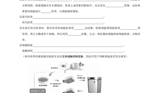 第52讲动物细胞工程（知识清单）_新高考复习资料_2025年新高考资料_备战2025年高考生物一轮复习课件+知识清单_第52讲动物细胞工程-备战2025年高考生物一轮复习课件+知识清单