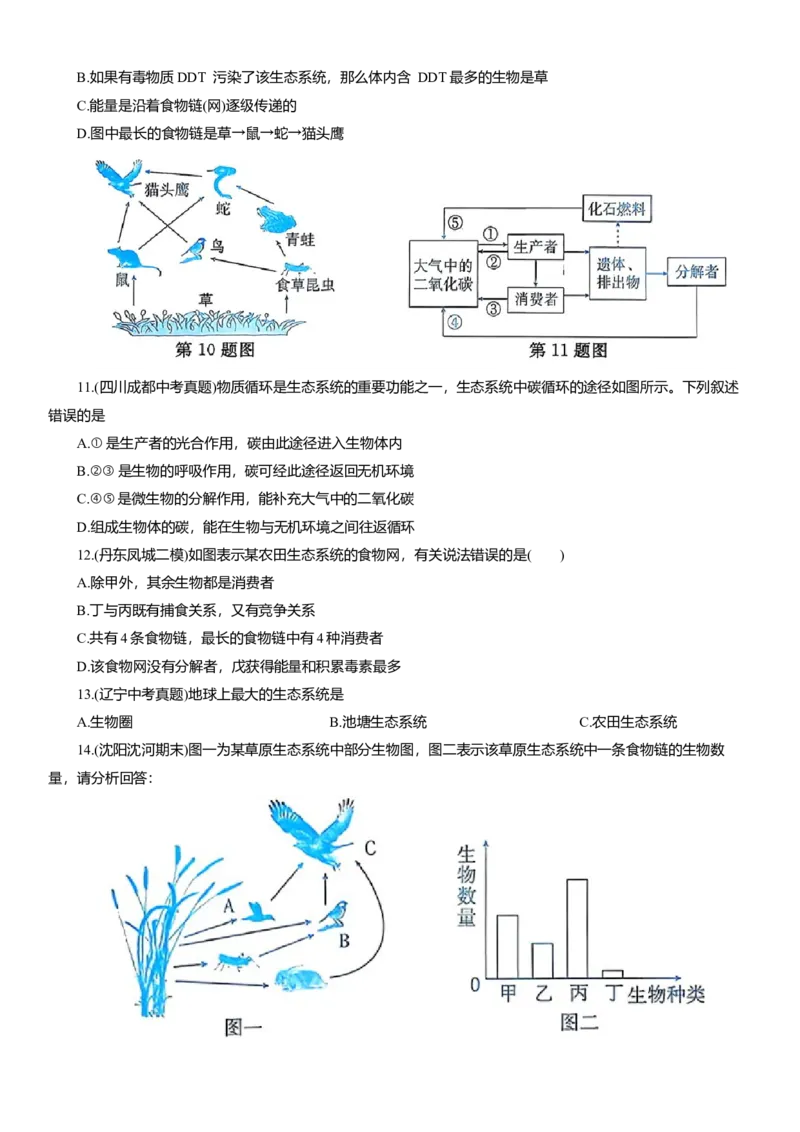 2026年中考生物复习专题练习：专题十生态系统（含答案）_6生物中考复习_2026年中考复习（更新中）_2026年中考生物一轮复习专题练习（含答案）