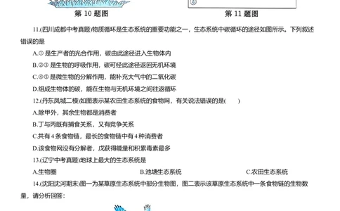 2026年中考生物复习专题练习：专题十生态系统（含答案）_6生物中考复习_2026年中考复习（更新中）_2026年中考生物一轮复习专题练习（含答案）