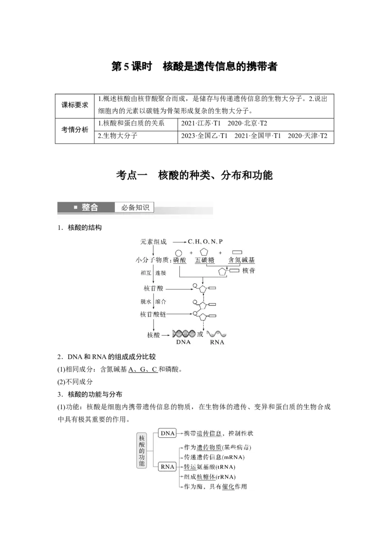 第一单元　第5课时　核酸是遗传信息的携带者_2025年新高考资料_一轮复习_2025大一轮复习讲义+课件（完结）_2025大一轮复习讲义生物教师用书Word版文档整书