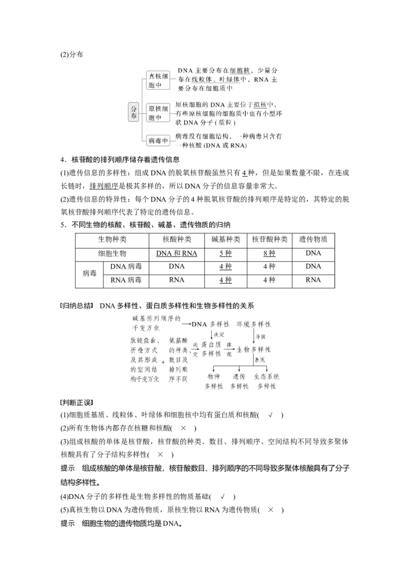 第一单元　第5课时　核酸是遗传信息的携带者_2025年新高考资料_一轮复习_2025大一轮复习讲义+课件（完结）_2025大一轮复习讲义生物教师用书Word版文档整书