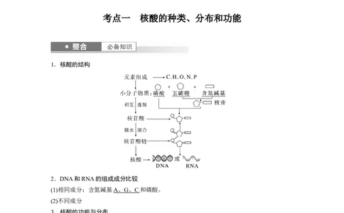 第一单元　第5课时　核酸是遗传信息的携带者_2025年新高考资料_一轮复习_2025大一轮复习讲义+课件（完结）_2025大一轮复习讲义生物教师用书Word版文档整书