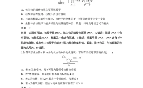 第一单元　第5课时　核酸是遗传信息的携带者_2025年新高考资料_一轮复习_2025大一轮复习讲义+课件（完结）_2025大一轮复习讲义生物教师用书Word版文档整书
