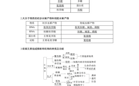 第一单元　第5课时　核酸是遗传信息的携带者_2025年新高考资料_一轮复习_2025大一轮复习讲义+课件（完结）_2025大一轮复习讲义生物教师用书Word版文档整书