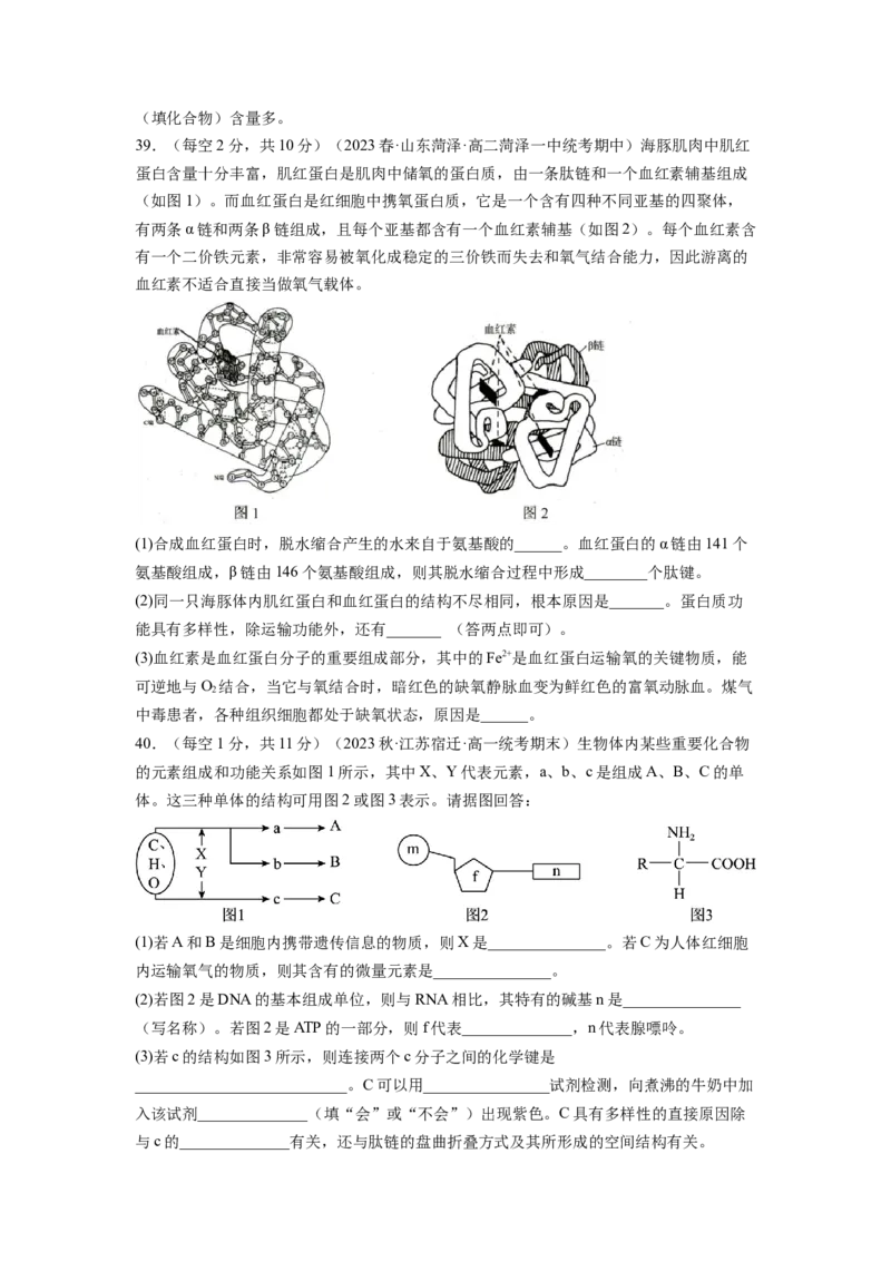 第一单元细胞的概述及其分子组成（原卷版）_新高考复习资料_2024年新高考复习资料_一轮复习资料_完2024年高考生物一轮复习讲练测(课件+讲义+练习)（新高考）_单元测试
