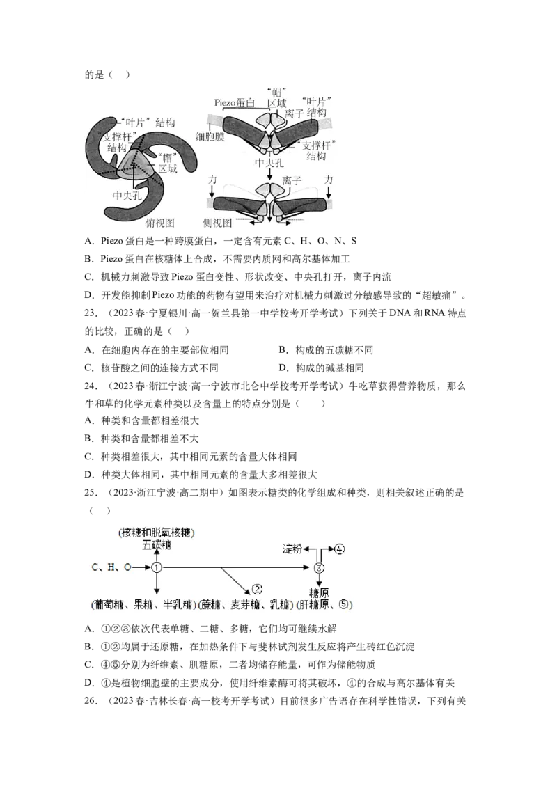 第一单元细胞的概述及其分子组成（原卷版）_新高考复习资料_2024年新高考复习资料_一轮复习资料_完2024年高考生物一轮复习讲练测(课件+讲义+练习)（新高考）_单元测试