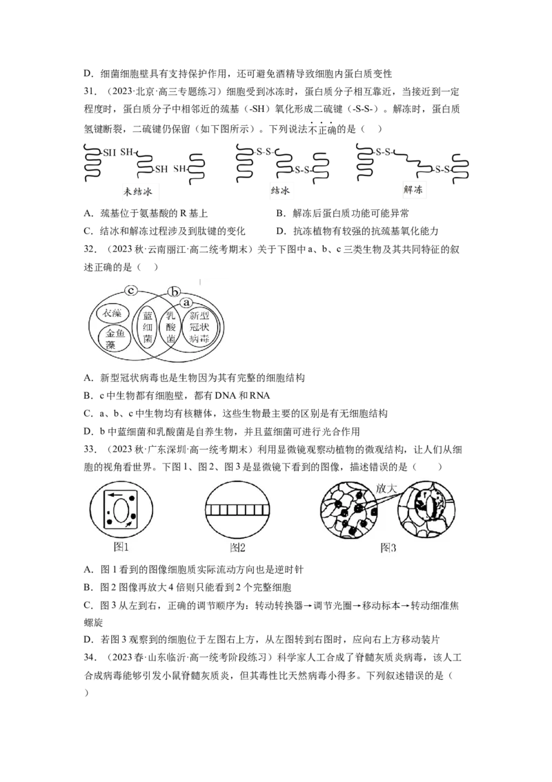 第一单元细胞的概述及其分子组成（原卷版）_新高考复习资料_2024年新高考复习资料_一轮复习资料_完2024年高考生物一轮复习讲练测(课件+讲义+练习)（新高考）_单元测试