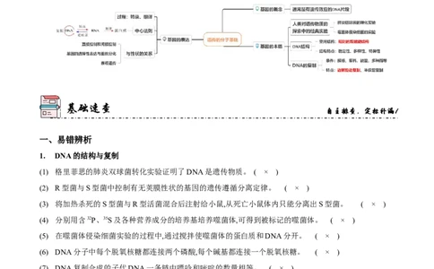 第6讲遗传的分子基础（讲练）-2023年高考生物二轮复习讲练测（新教材专用）（解析版）_新高考复习资料_2023年新高考复习资料_二轮复习_2023年高考生物二轮复习讲练测（新教材专用）