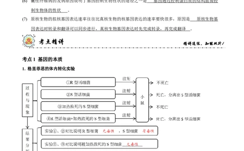 第6讲遗传的分子基础（讲练）-2023年高考生物二轮复习讲练测（新教材专用）（解析版）_新高考复习资料_2023年新高考复习资料_二轮复习_2023年高考生物二轮复习讲练测（新教材专用）