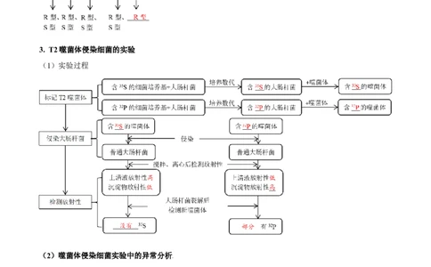 第6讲遗传的分子基础（讲练）-2023年高考生物二轮复习讲练测（新教材专用）（解析版）_新高考复习资料_2023年新高考复习资料_二轮复习_2023年高考生物二轮复习讲练测（新教材专用）