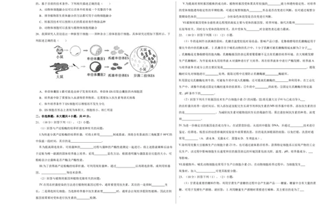 第十三单元细胞工程（A卷新题基础练）-2023年高考生物一轮复习单元滚动双测卷（新高考专用）（考试版）_新高考复习资料_2023年新高考复习资料_一轮复习