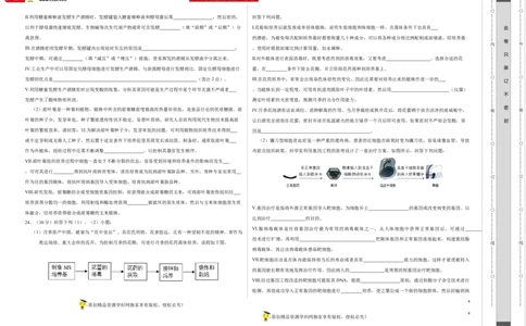 第十三单元细胞工程（A卷新题基础练）-2023年高考生物一轮复习单元滚动双测卷（新高考专用）（考试版）_新高考复习资料_2023年新高考复习资料_一轮复习